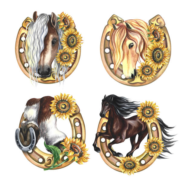 ilustrações de stock, clip art, desenhos animados e ícones de a set of horseshoes depicting a horse in sunflowers. hand watercolor. isolate. talisman of good luck. for stickers and labels, postcards, business cards and packaging, banners, t-shirts. - horseshoe gold luck success