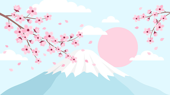 Landscape with branches of pink cherry blossom, a mountain with a snowy peak and the sun. Vector illustration in flat style
