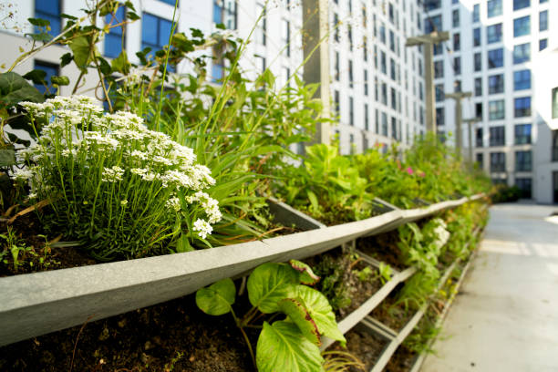 istock Green vertical green facade garden in full bloom for climate adaptation. Vertical Garden for sustainable cities. 1486866295
