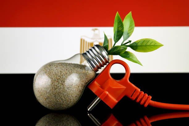 Plug, plant growing inside the light bulb and Egypt Flag. Green eco renewable energy concept. stock photo