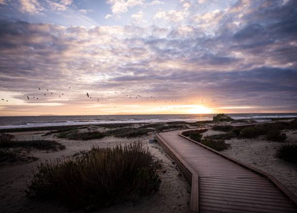 istock Scenic boardwalk alongside a sandy beach against a cloudy sky during a beautiful sunset 1486879365
