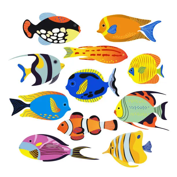 Vector illustration of Collection of different sea fishes isolated on white background