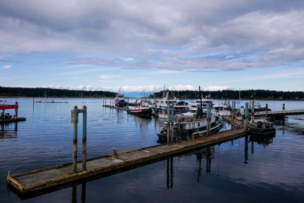 istock Many Boats at Nanaimo Harbour (British Columbia, Canada) 1486880999