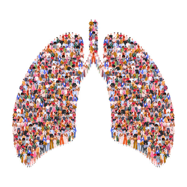 폐에있는 많은 사람들이 형성됩니다. - human lung stock illustrations