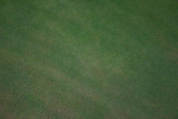 istock Putting Green and White Sand Trap Background Textures 1486886101