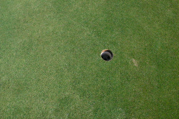 istock Putting Green and White Sand Trap Background Textures 1486886141