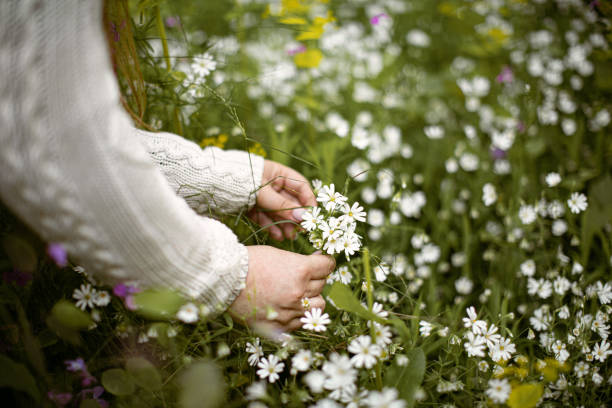 istock Woman hand touching spring flowers 1486887001