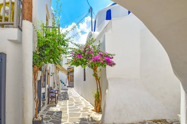 rua em uma aldeia tradicional em uma ilha grega das cíclades - scenics multi colored greece blue - fotografias e filmes do acervo