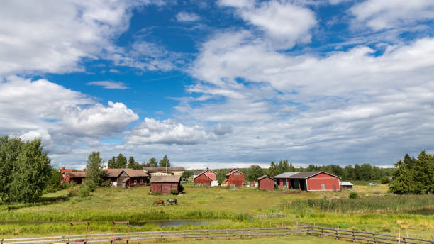 istock A beutiful summer day in the countryside, Finland. 1486892725