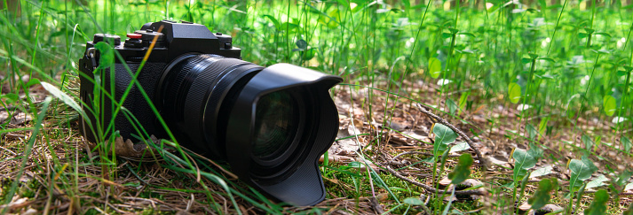 camera close up lies in the green grass in forest