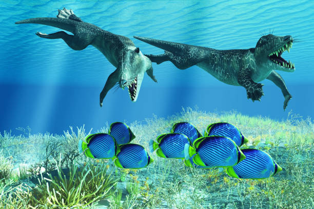 istock Ambulocetus hunting Black-backed Butterflyfish 1486897854