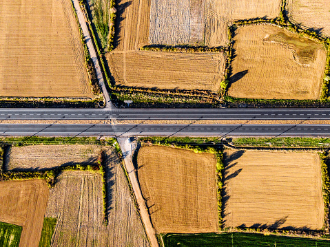Road in agricultural field. Aerial drone view directly above