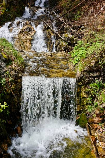 istock Waterfall in the forest. Spring waterfall in the forest. Forest waterfall. 1486903240