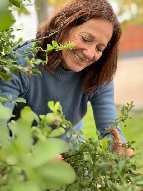 istock Senior woman gardening 1486904529
