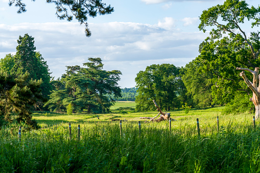 A rural Sussex farm landscape with a blue sky overhead