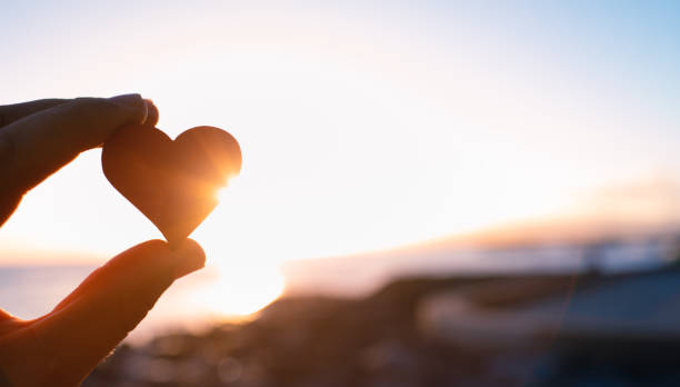 Hand holding here in the sunset. I love nature concept stock photo