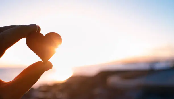 Photo of Hand holding here in the sunset. I love nature concept