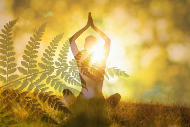 istock Silhouette young woman practicing yoga in nature sunset. Meditation. 1486907302