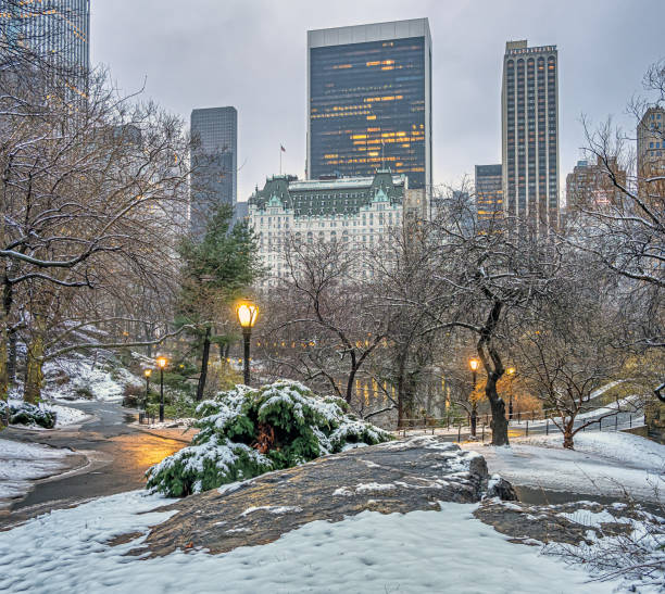 istock Central Park in winter  snow 1486916575