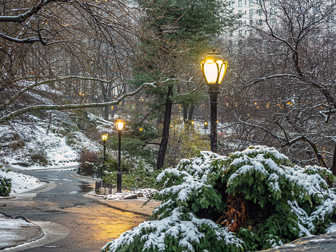 Central Park in winter