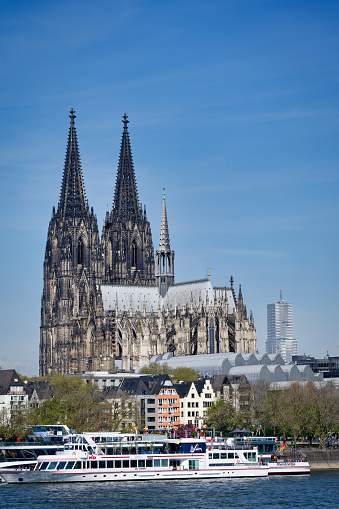 cologne, germany april 30 2023: Decorated excursion boats on the banks of the rhine in front of Cologne Cathedral in the old town of cologne