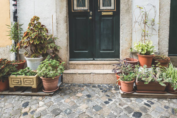 istock Stoop with plenty colorful potted plants as a decoration for front door apartment building 1486920187