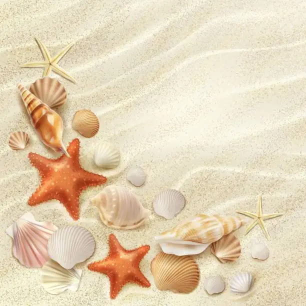 Vector illustration of Realistic beach seaside top view with seashells