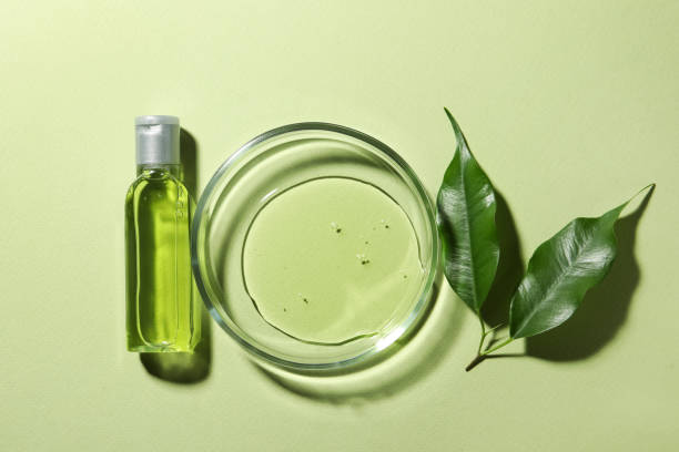 istock Flat lay composition with Petri dish on light green background 1486924714