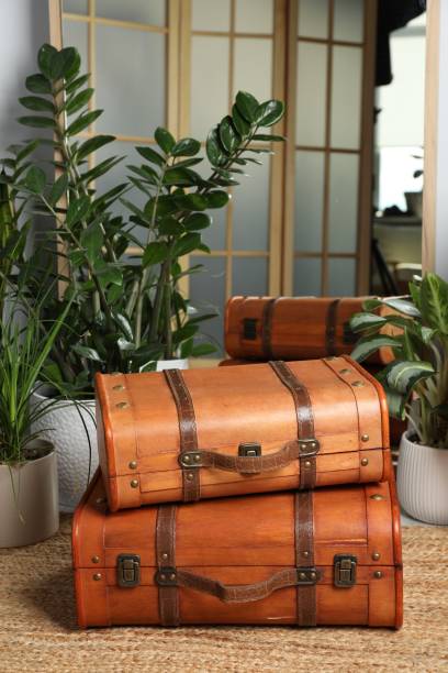 istock Beautiful brown stylish suitcases on carpet indoors 1486926775