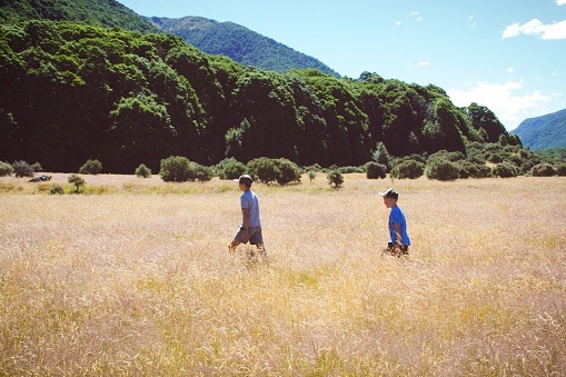Children walk through high alpine herb field in the Kahurangi National Park in the South Island of New Zealand.