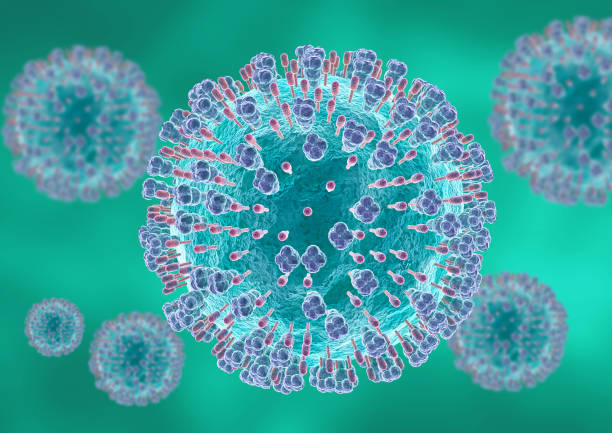 Microscopic respiratory syncytial virus. It causes infections of the respiratory tract and lungs in newborns and young children. 3D illustration stock photo