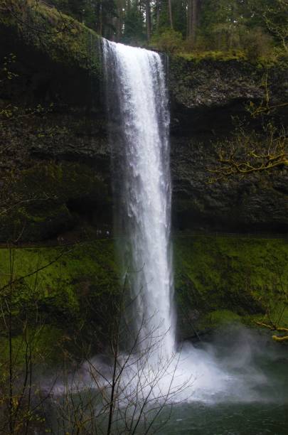 istock View of waterfall in temperate rain forest 1486930872