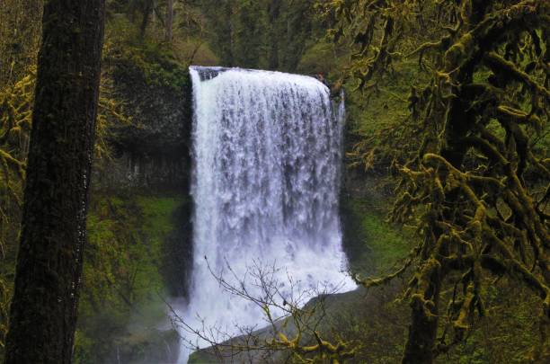 istock View of waterfall in temperate rain forest 1486930956