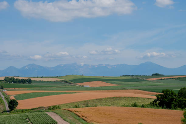 istock Green and golden fields and mountain range 1486932112
