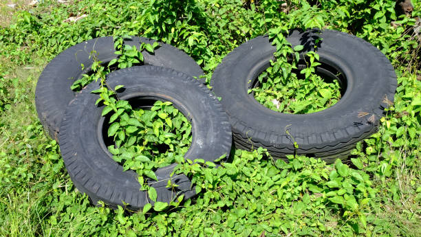 istock Abandoned truck tires 1486936325