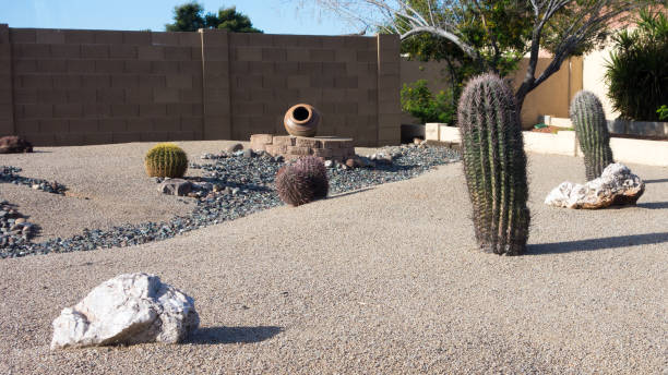 istock Xeriscaped desert style grounds in Phoenix, AZ 1486942843