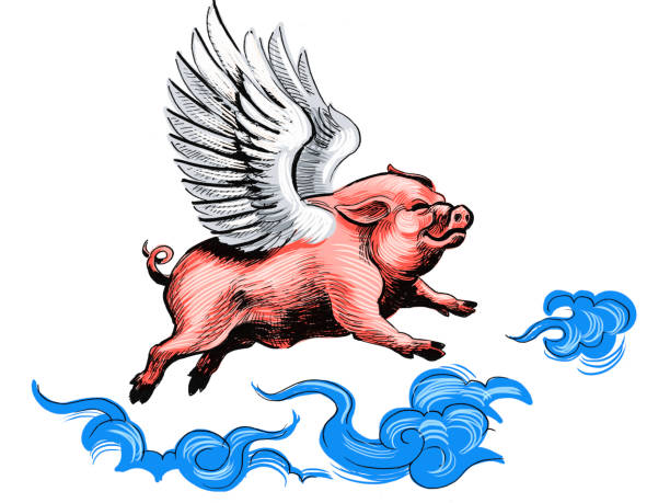 illustrations, cliparts, dessins animés et icônes de cochon volant souriant - when pigs fly