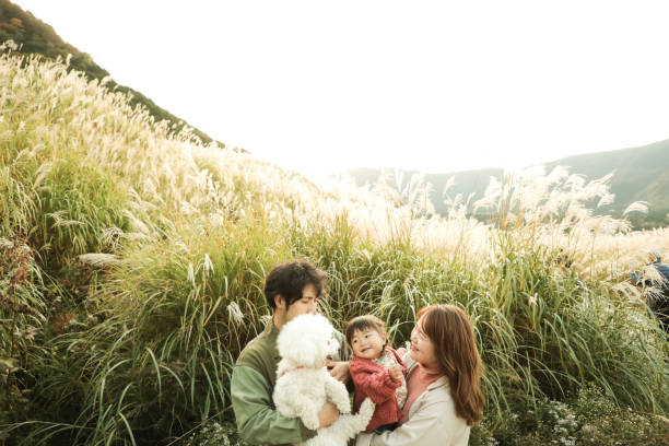 istock Happy Family Enjoying Picnic day 1486958749