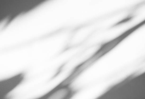 istock Abstract Shadow Leaf on Blur Cement Wall Floor Background,Pastel Minimal Plant Tree Nature Light Overlay Leaves Backdrop,Mockup Product Texture Template Pattern Space Scene Shape Gray White Surface 1486960147