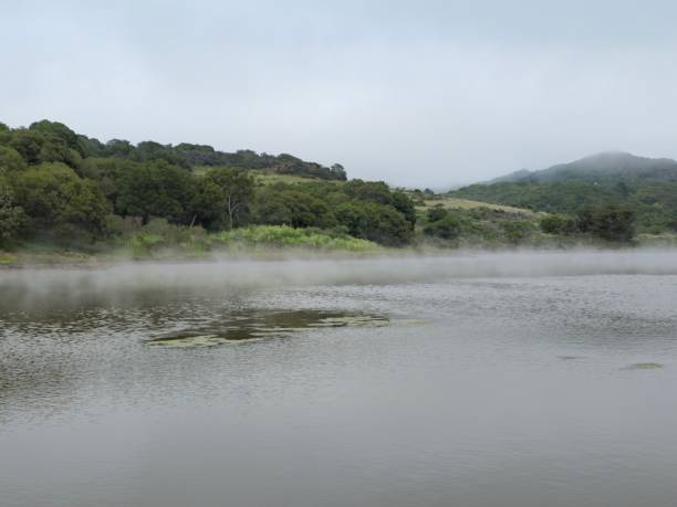 brouillard au lac - mountain nature abstract forest swamp photos et images de collection