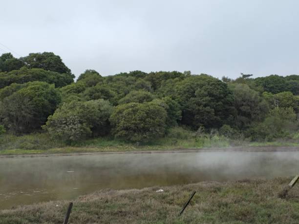 brouillard et eau - mountain nature abstract forest swamp photos et images de collection