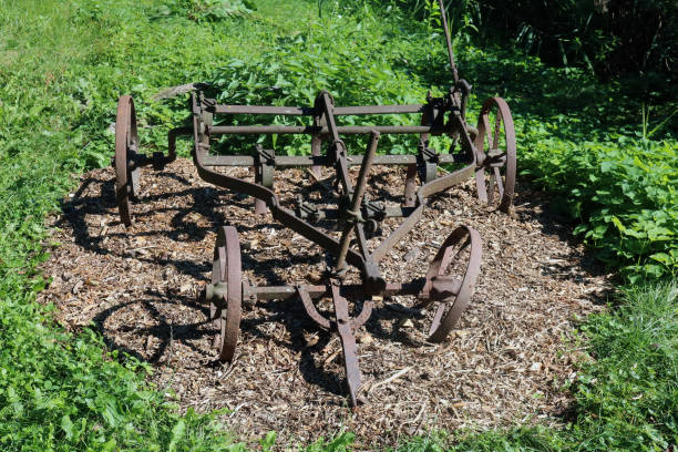 istock Old broken rusty plow in the backyard of a village house 1486970572
