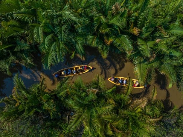 Tourists rowing boats to enjoy the scenery in the middle of the water coconut forest, Tien Giang province Tourists rowing boats to enjoy the scenery in the middle of the water coconut forest, Tien Giang province indochina stock pictures, royalty-free photos & images