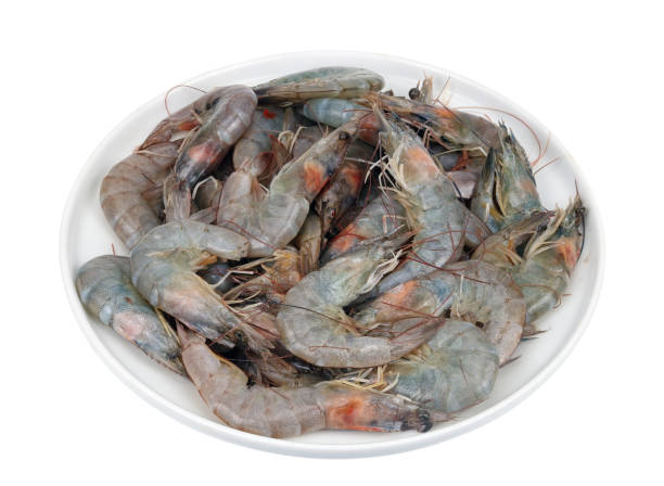 istock Bunch of fresh raw shrimp on a round plate isolated 1486972947