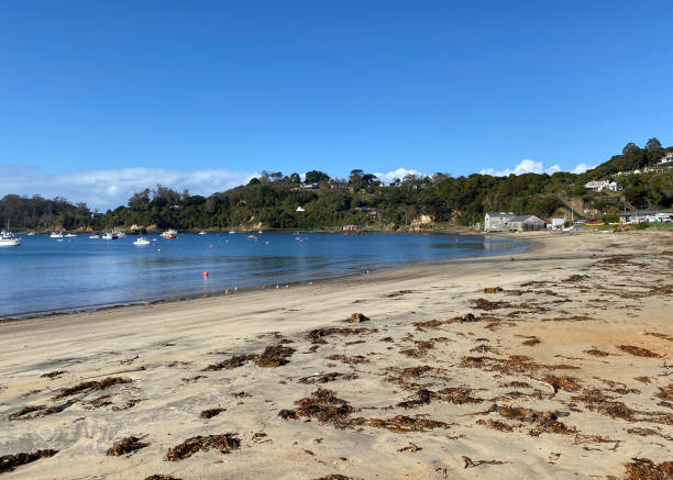 istock Stewart Island, New Zealand 1486975792
