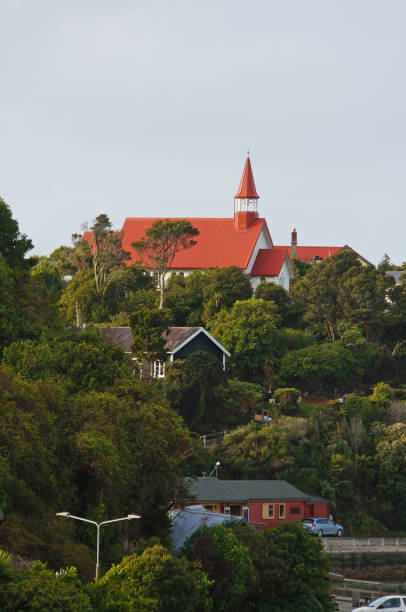 istock Stewart Island, New Zealand 1486975809