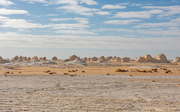 istock Barren desert landscape in hot climate with rock formations 1486987214
