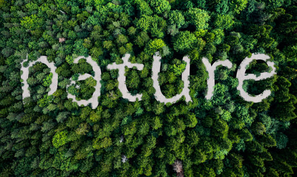 istock Nature inscription on top view of forest. 1486989114