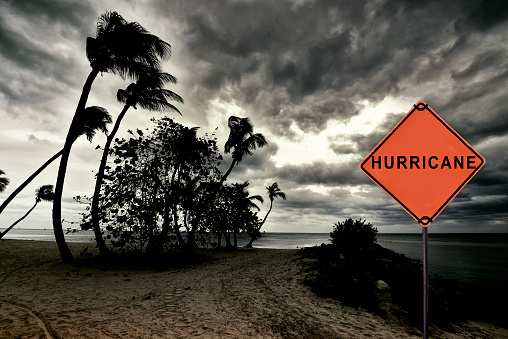 Road warning sign on a beach, Key West, Florida, USA.