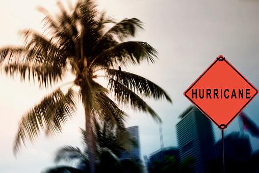 Road warning sign, South Beach, Miami, Florida, USA.
